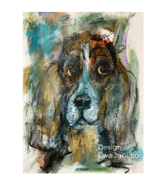 Akvarellspaniel Disktrasa